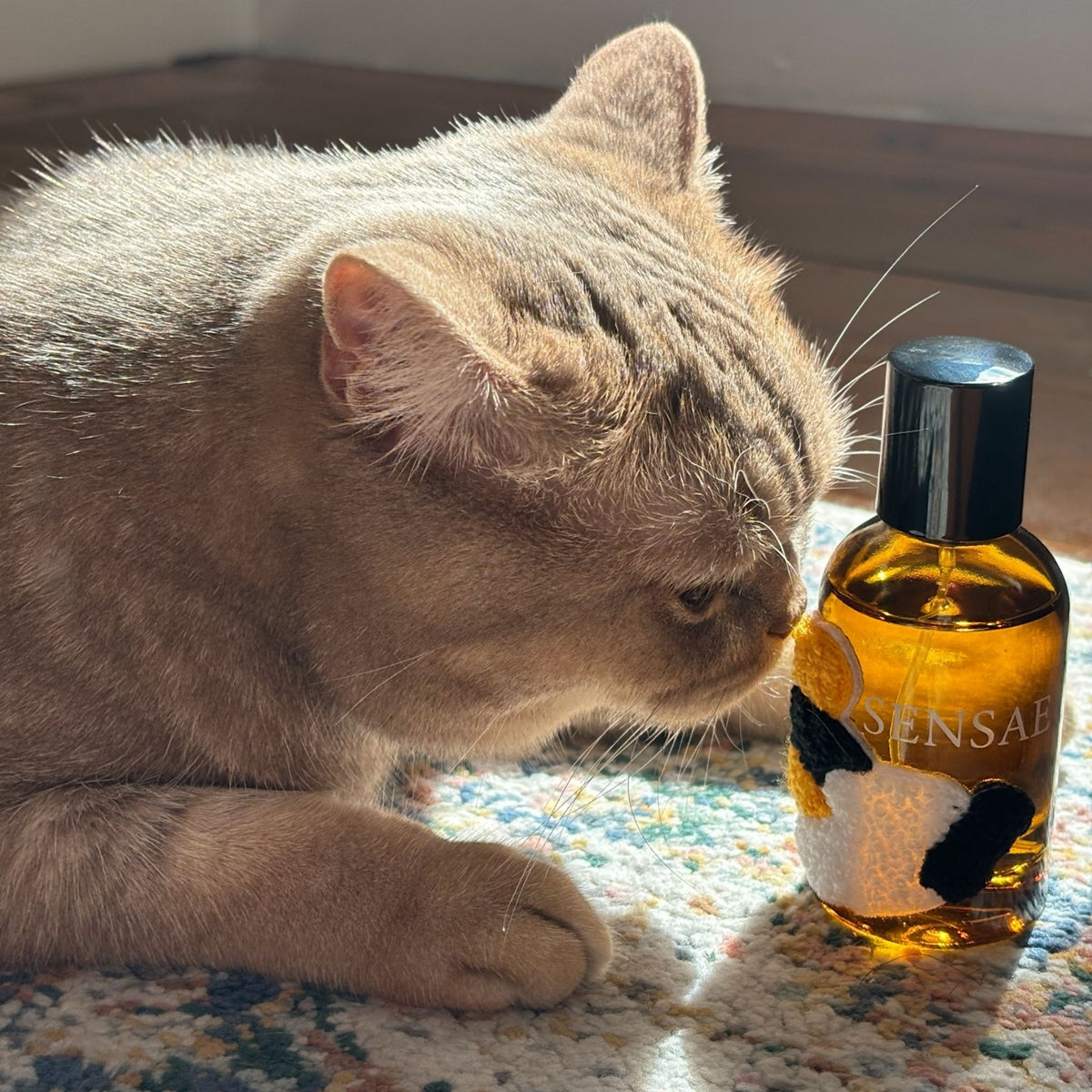 MEMORY No. 001 — STATE PURR