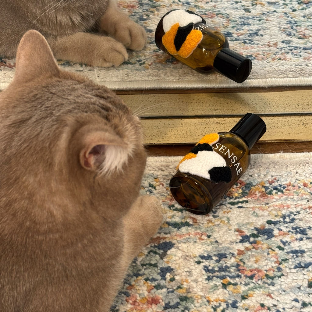MEMORY No. 001 — STATE PURR